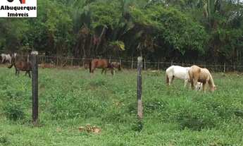 Imagem 6: FAZENDA RURAL em TURIAÇU - MA, TURIAÇU