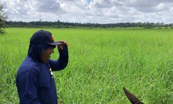 Imagem 2: FAZENDA RURAL em SANTA INÊS - MA, SANTA INÊS