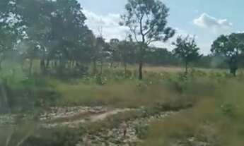 Imagem: FAZENDA RURAL em TOCANTINS - TO, TOCANTINS