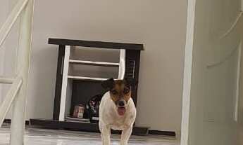 Imagem 5: CASA RESIDENCIAL em SÃO LUÍS - MA, ARAÇAGY