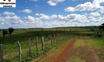 Imagem: FAZENDA COMERCIAL em TURILÂNDIA - MA, TURILÂNDIA