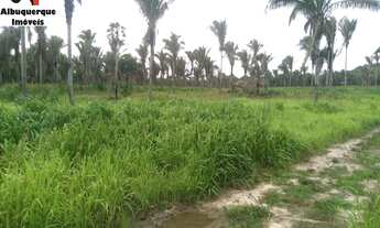 Imagem 5: FAZENDA COMERCIAL em VARGEM GRANDE - MA, VARGEM GRANDE