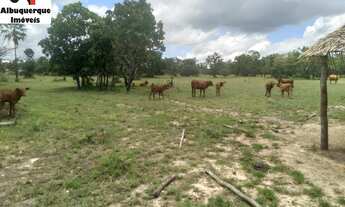 Imagem: FAZENDA COMERCIAL em VARGEM GRANDE - MA