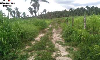 Imagem 3: FAZENDA COMERCIAL em VARGEM GRANDE - MA, VARGEM GRANDE