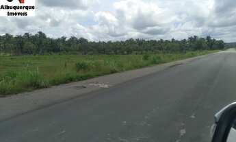 Imagem 6: FAZENDA COMERCIAL em VARGEM GRANDE - MA, VARGEM GRANDE