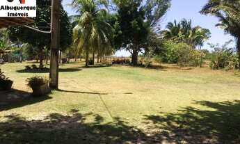 Imagem: TERRENO COMERCIAL em APICUM-AÇU - MA, APICUM-AÇU