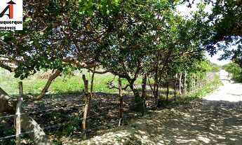 Imagem: TERRENO COMERCIAL em BARREIRINHAS - MA