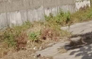 Imagem 3: TERRENO COMERCIAL em São Luís - MA, Monte Castelo