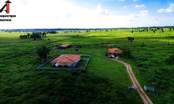 Imagem: FAZENDA RURAL em SANTA INÊS - MA, SANTA