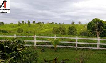 Imagem 3: FAZENDA RURAL em SANTA LUZIA DO TIDE - MA, SANTA LUZIA DO TIDE