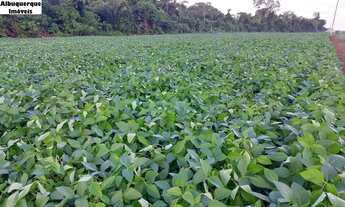 Imagem: FAZENDA RURAL em BARRA DO CORDA - MA, BARRA