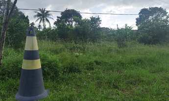 Imagem 6: CHACARA RESIDENCIAL em PAÇO DO LUMIAR - MA, PAÇO DO LUMIAR