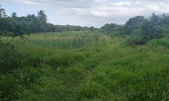 Imagem 7: CHACARA RESIDENCIAL em PAÇO DO LUMIAR - MA, PAÇO DO LUMIAR