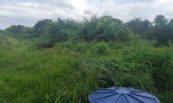 Imagem: CHACARA RESIDENCIAL em PAÇO DO LUMIAR