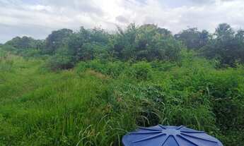 Imagem 2: CHACARA RESIDENCIAL em PAÇO DO LUMIAR - MA, PAÇO DO LUMIAR