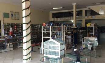 Imagem 3: LOJA RESIDENCIAL em SÃO LUÍS - MA, COHAMA