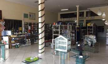 Imagem 6: LOJA RESIDENCIAL em SÃO LUÍS - MA, COHAMA