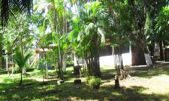 Imagem 5: SITIO RESIDENCIAL em SÃO LUÍS - MA, MARACANÃ