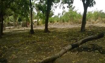 Imagem 4: TERRENO INDUSTRIAL em São Luís - MA, RAPOSA