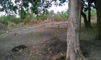 Imagem 5: TERRENO INDUSTRIAL em São Luís - MA, RAPOSA