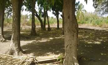 Imagem 7: TERRENO INDUSTRIAL em São Luís - MA, RAPOSA