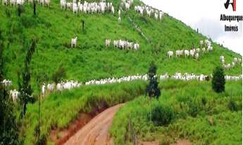 Imagem 4: FAZENDA RESIDENCIAL em RONDOLÂNDIA - MT, RONDOLÂNDIA