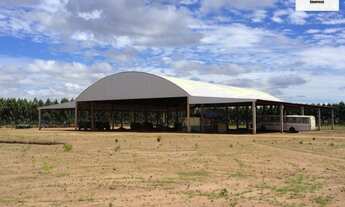 Imagem 6: FAZENDA RURAL em PALMEIRA DO PIAUÍ - PI, Palmeira do Piauí