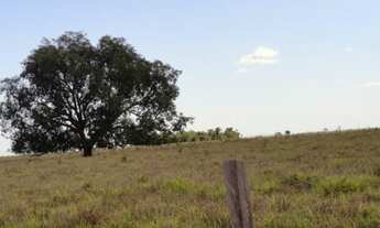 Imagem 7: FAZENDA RESIDENCIAL em Jussara - GO, Setor Central