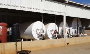 Imagem: FAZENDA RESIDENCIAL em Jussara - GO, Setor