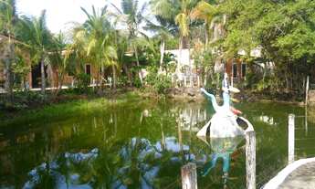 Imagem 7: SITIO COMERCIAL em SÃO LUÍS - MA, OLHO DÁGUA