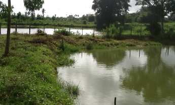 Imagem: FAZENDA RURAL em Arari - MA, Brito