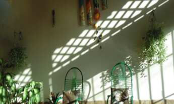 Imagem 4: CASA RESIDENCIAL em SÃO LUÍS - MA, JARDIM SÃO CRISTÓVÃO II