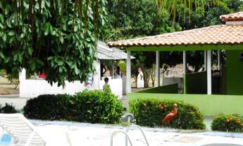 Imagem: CHACARA RESIDENCIAL em SÃO LUÍS - MA