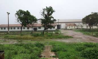 Imagem 7: GALPAO INDUSTRIAL em SÃO LUÍS - MA, BR