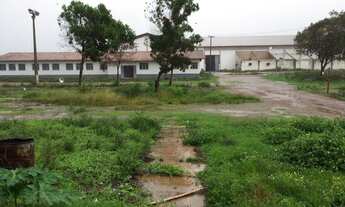 Imagem 4: GALPAO INDUSTRIAL em SÃO LUÍS - MA, BR