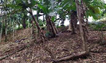 Imagem 7: SITIO RURAL em SETE BARRAS - SP, FORMOSO