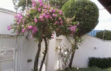 Imagem 3: VILA ANTONINA - 170M² EM TERRENO DE 202M² - 3 DORMS SENDO 2 SUITES E 4 VAGAS