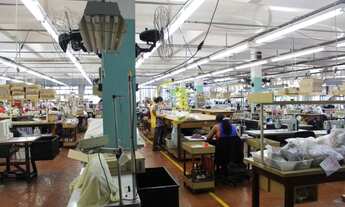 Imagem 6: PRÉDIO INDUSTRIAL NO TUCURUVI - 8.813 M²