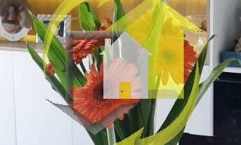 Imagem 4: LINDÍSSIMO APARTAMENTO - VILA CARRÃO - 84 M² - 3 DORM. 1 SUÍTE - 1 VAGA - LAZER COMPLETO