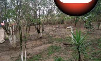 Imagem 7: CHACARA RURAL em AMERICANA - SP, JARDIM TERRAMÉRICA I