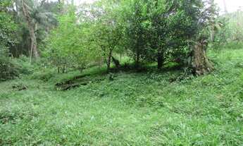 Imagem 4: JUQUITIBA/SITIO C/LINDA VISTA/AC/ ENTRADA E PARCELAS A COMBINAR/REF:04749