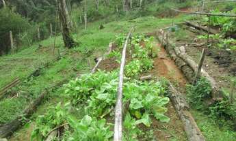 Imagem 5: JUQUITIBA/SITIO C/LINDA VISTA/AC/ ENTRADA E PARCELAS A COMBINAR/REF:04749