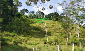 Imagem 2: JUQUIA/LINDO SITIO P/CRIAÇÃO DE GADOS/PESQUEIRO E PLANTAÇÃO DE PUPUNHA/REF:04857