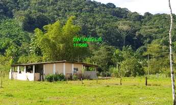 Imagem 3: JUQUIA/LINDO SITIO P/CRIAÇÃO DE GADOS/PESQUEIRO E PLANTAÇÃO DE PUPUNHA/REF:04857