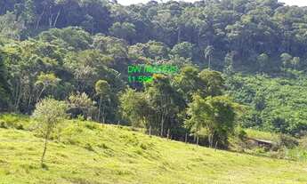 Imagem 4: JUQUIA/LINDO SITIO P/CRIAÇÃO DE GADOS/PESQUEIRO E PLANTAÇÃO DE PUPUNHA/REF:04857