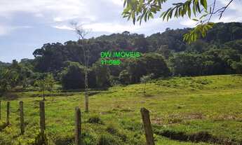 Imagem 5: JUQUIA/LINDO SITIO P/CRIAÇÃO DE GADOS/PESQUEIRO E PLANTAÇÃO DE PUPUNHA/REF:04857