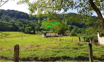 Imagem 7: JUQUIA/LINDO SITIO P/CRIAÇÃO DE GADOS/PESQUEIRO E PLANTAÇÃO DE PUPUNHA/REF:04857