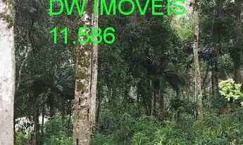 Imagem: JUQUITIBA/BELO TERRENO/ÓTIMA TOPOGRAFIA/AC/PROPOSTAS/REF