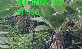 Imagem 2: JUQUIÁ/SITIO C/ÁREA DE PLANTIO/LAGO/RIACHO/SÓ R$ 150 MIL AC/PROPOSTAS/REF:05368