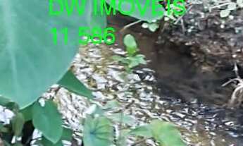 Imagem 6: JUQUIÁ/SITIO C/ÁREA DE PLANTIO/LAGO/RIACHO/SÓ R$ 150 MIL AC/PROPOSTAS/REF:05368